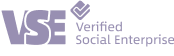 VSE logo