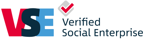 VSE colored logo